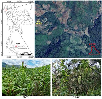 Stability of soil bacteria in undisturbed soil and continuous maize cultivation in Northern Thailand